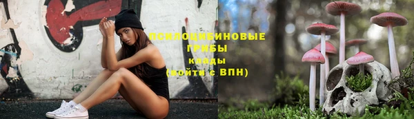 хмурый Балабаново