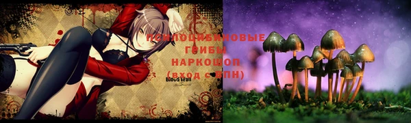 spice Белокуриха