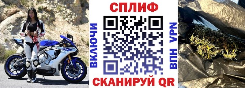 Марихуана Amnesia  где продают   Белоозёрский 